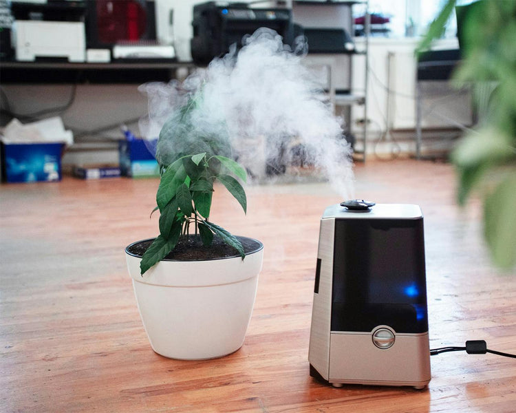 AIR PURIFIERS AND HUMIDIFIERS